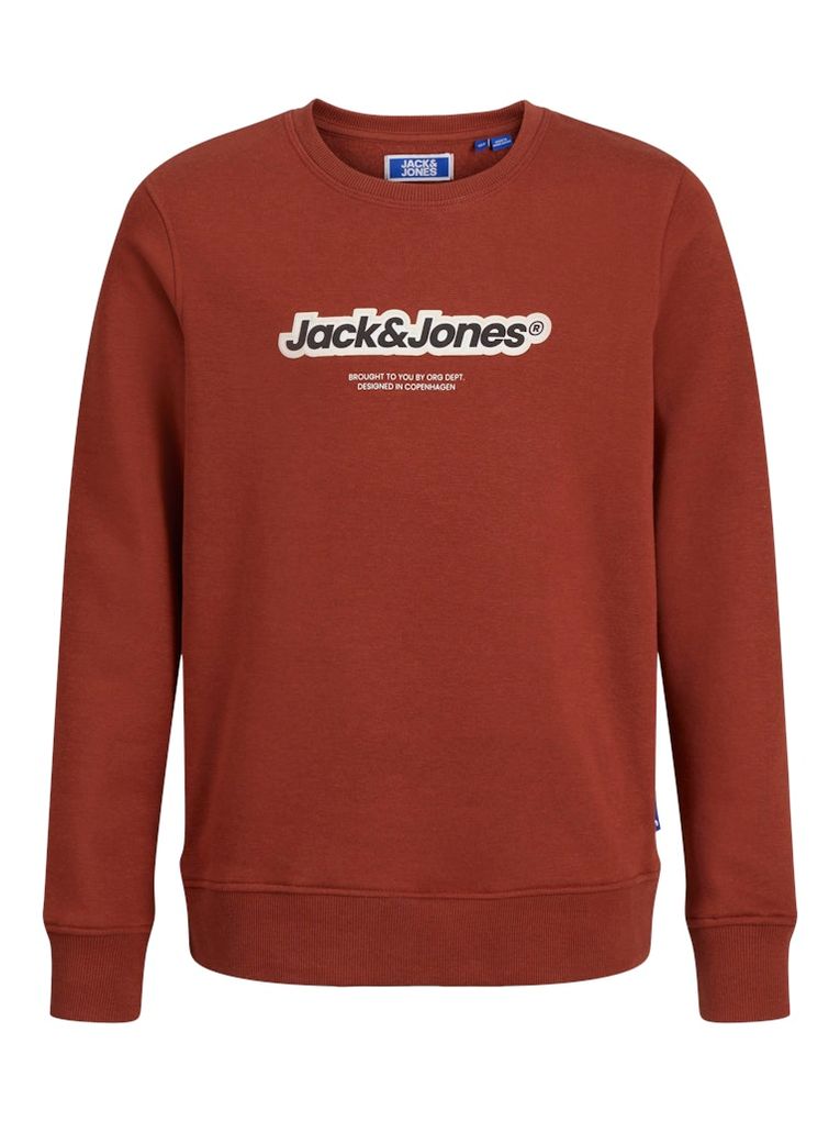 Jack & Jones Jungen Sweatshirt JORVESTERBRO NEWTON BRNDG