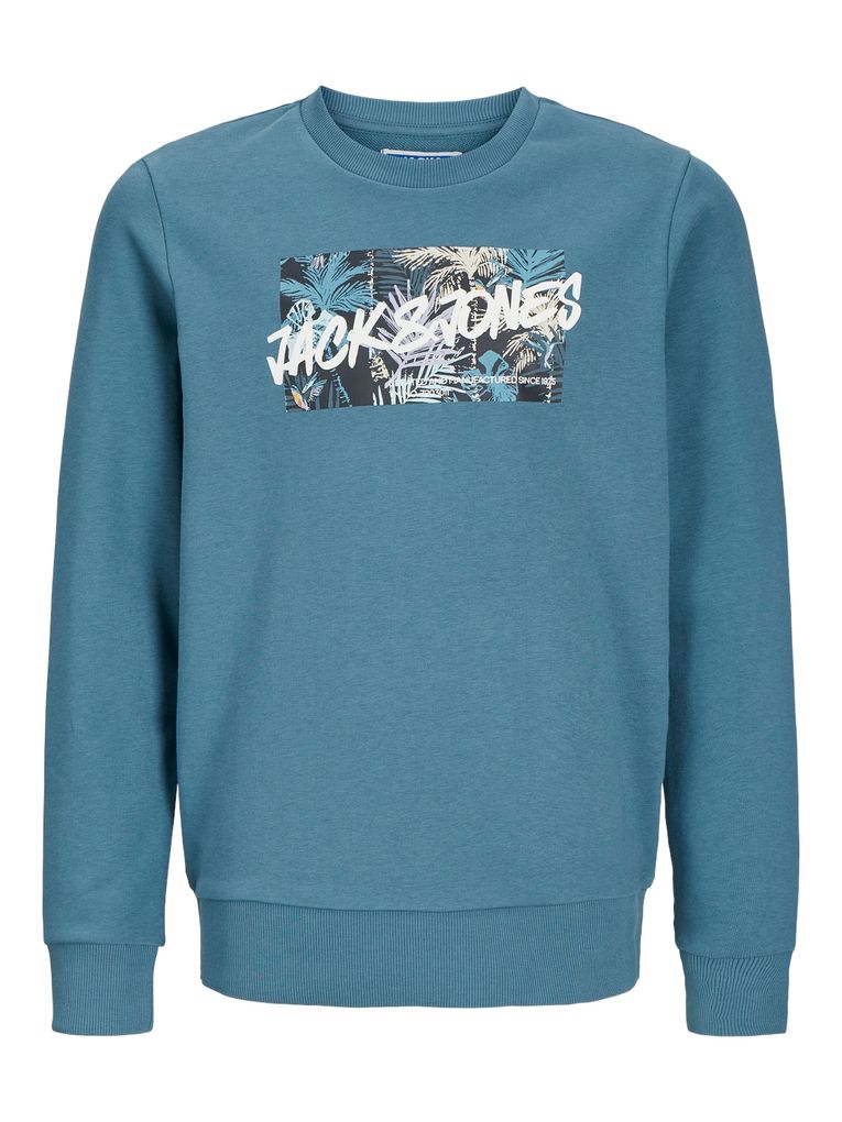 Jack & Jones Jungen Sweatshirt JJHAWAII SHAP SWEAT CREW NECK