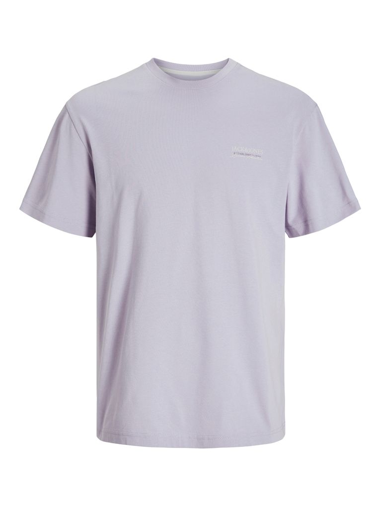 Jack & Jones Jungen T-Shirt JJSUMMER VIBES TEE S/S CREW NECK