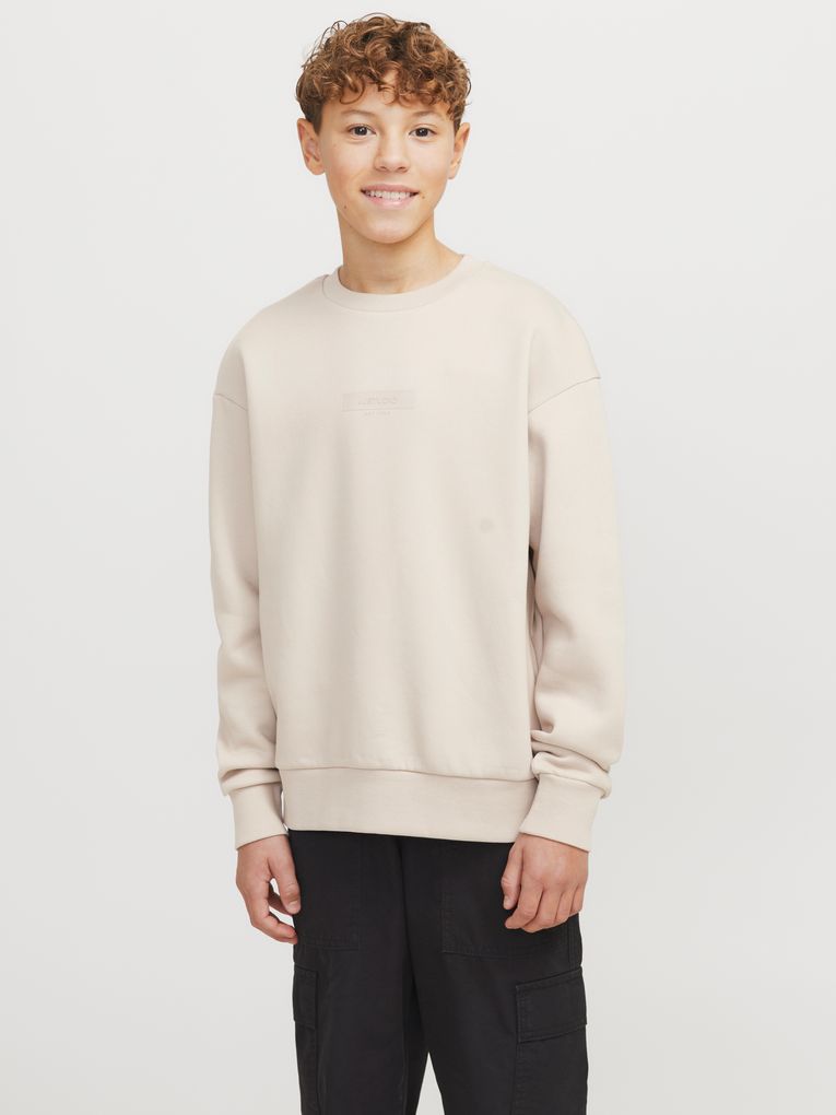 Jack & Jones Jungen Pullover JJTAKA SWEAT CREW NECK JNR