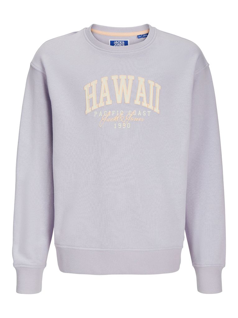 Jack & Jones Jungen Pullover JJDETROIT SWEAT CREW NECK JNR