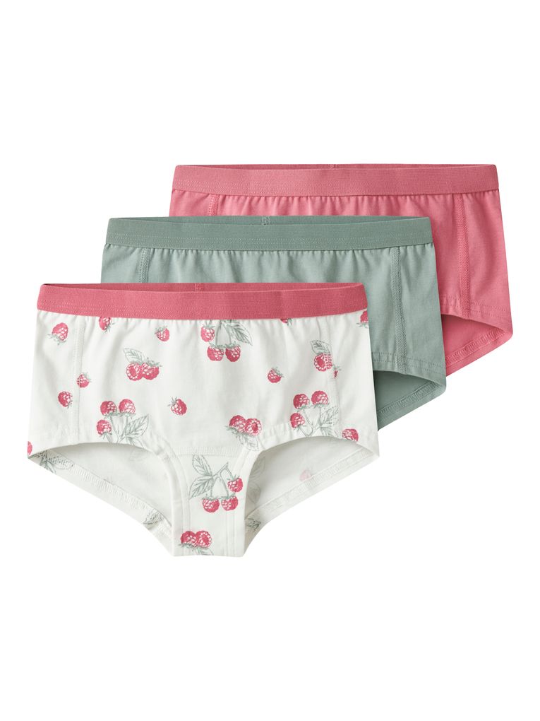 Name it Mädchen Slips 3er Pack NKFHIPSTER 3P FLOWER