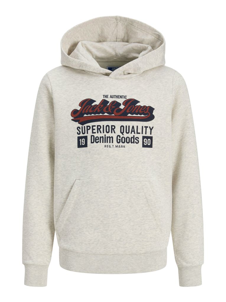 Jack & Jones Jungen Hoodie JJELOGO SWEAT HOOD 2 COL MNI