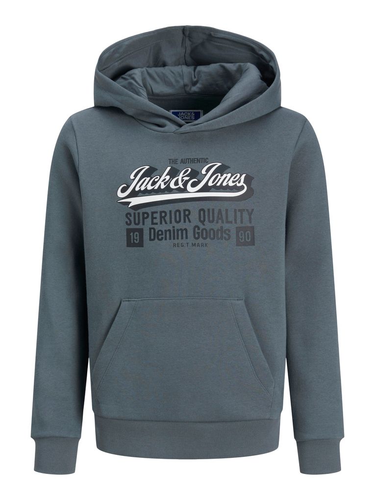 Jack & Jones Jungen Hoodie JJELOGO SWEAT HOOD 2 COL MNI