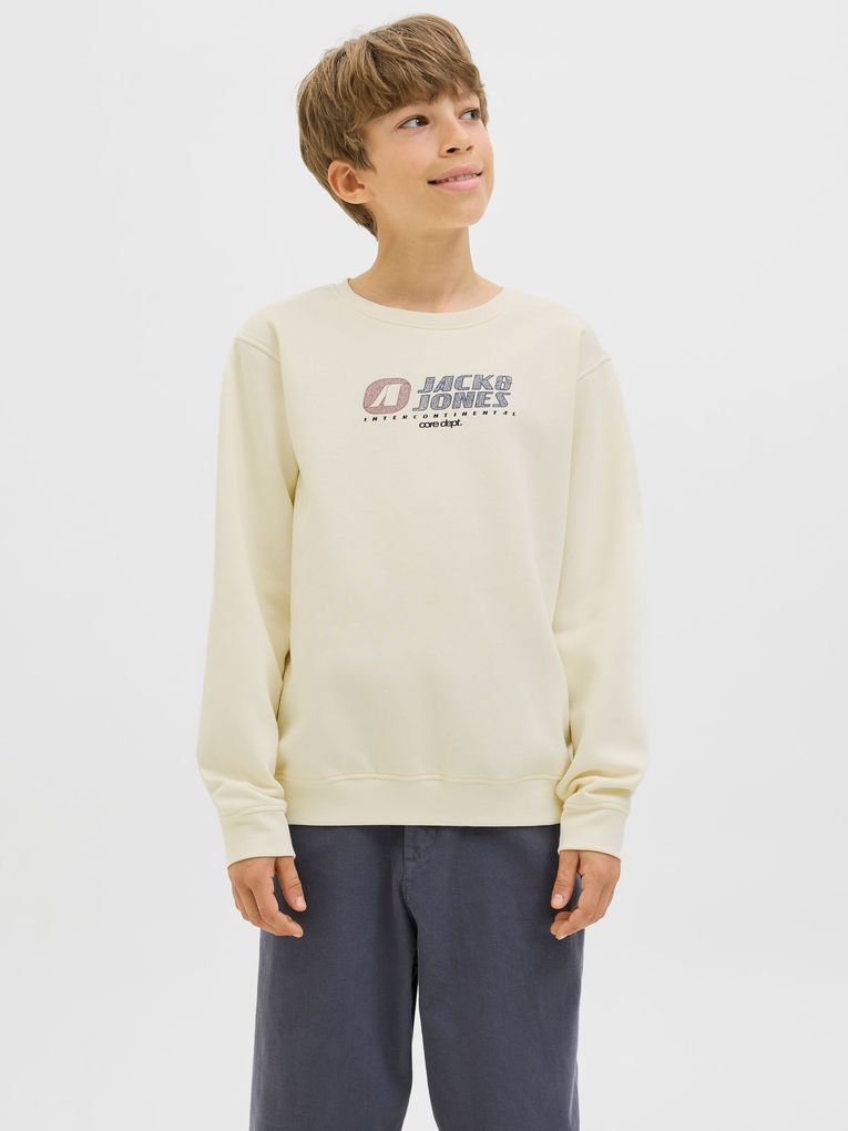 Jack & Jones Jungen Sweatshirt JCOTIER PRINT SWEAT CREW NECK JNR