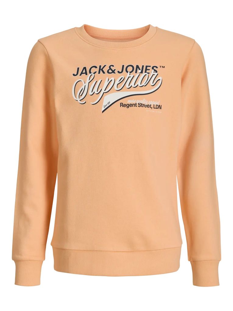 Jack & Jones Jungen Sweatshirt Rundhals JJELOGO