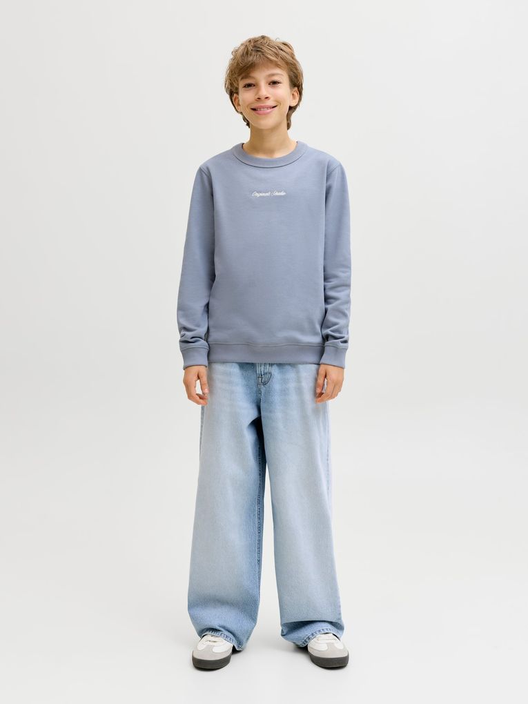 Jack & Jones Jungen Baggyjeans JJIDAVE