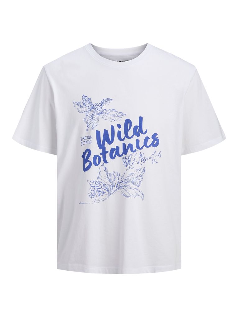 Jack & Jones Mini Jungen Kurzarm T-Shirt Jjlarri