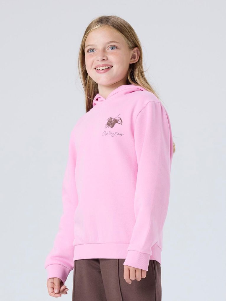 Name it Mädchen Kapuzensweatshirt Nkfnikolisa