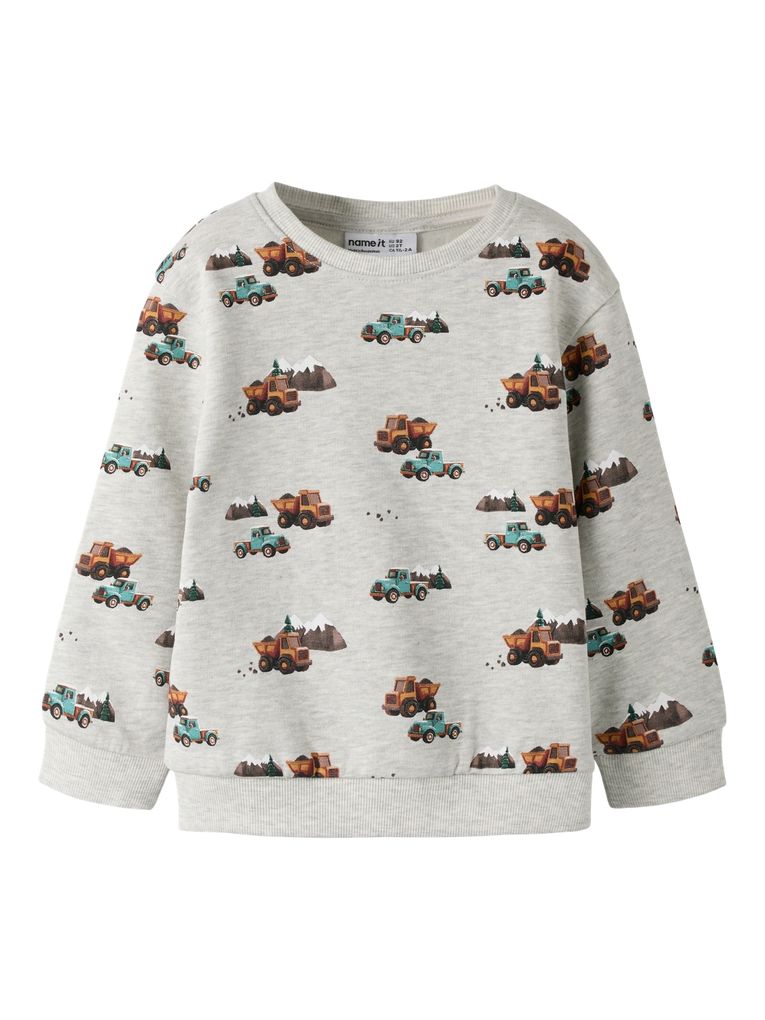 Name it Jungen Sweatshirt Bio-Baumwolle Nmmonikian