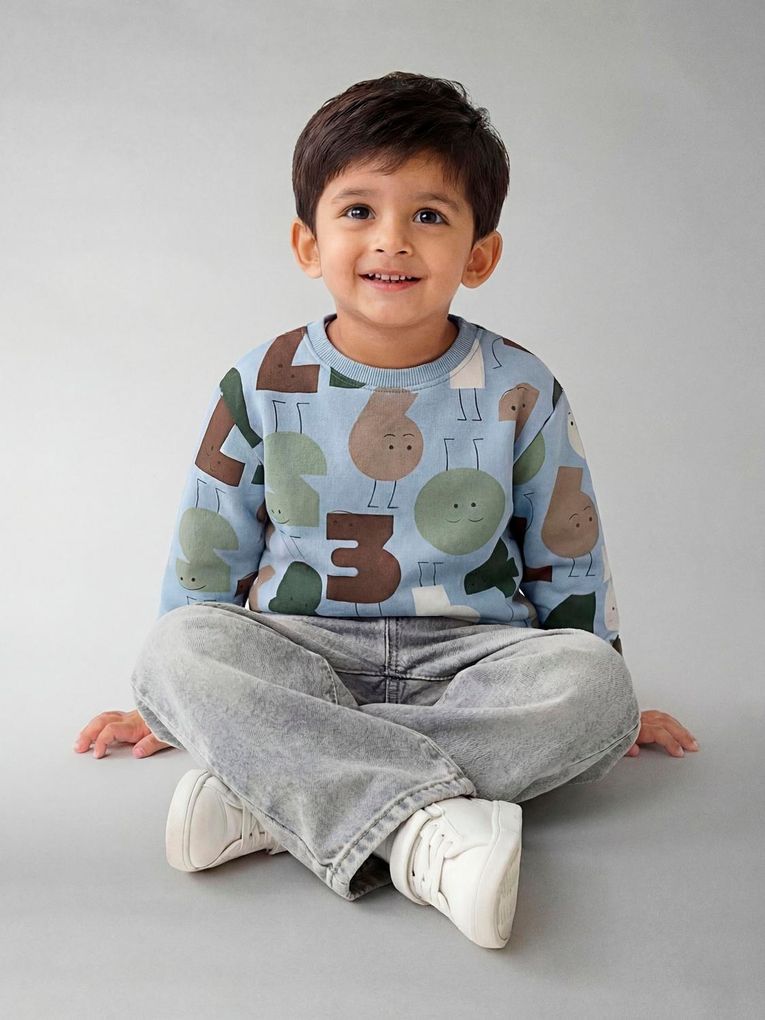 Name it Mini Jungen Sweatshirt Nmmolydan