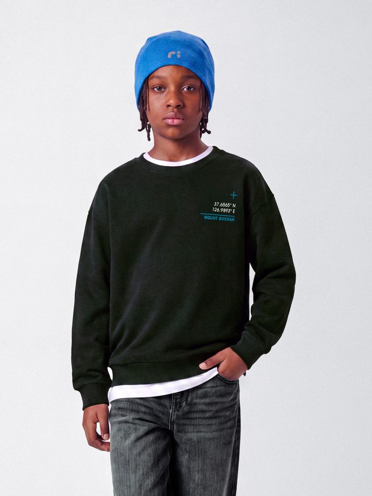 Name it Jungen Sweatshirt Nkmofranz